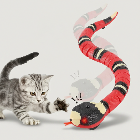 Interactive Robotic Snake Cat Toy