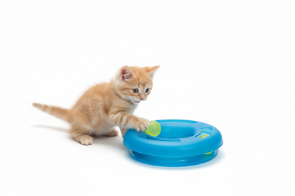 Crazy Circle Cat Toy