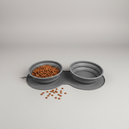 2-in-1 Collapsible Slow Feeder Travel Bowl