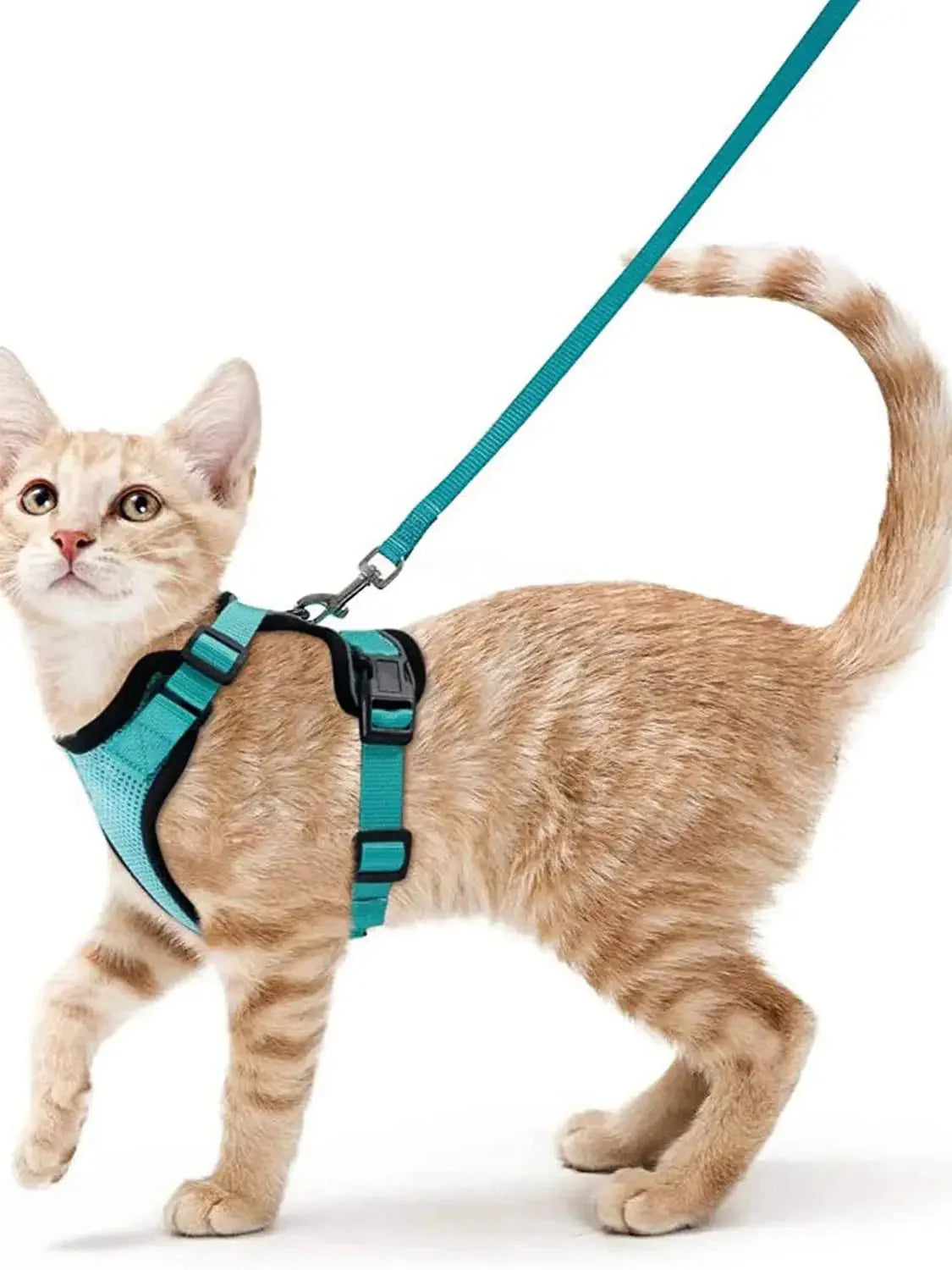 Cat Harness and Leash – Soft Adjustable Escape-Proof Vest for Walking Cats