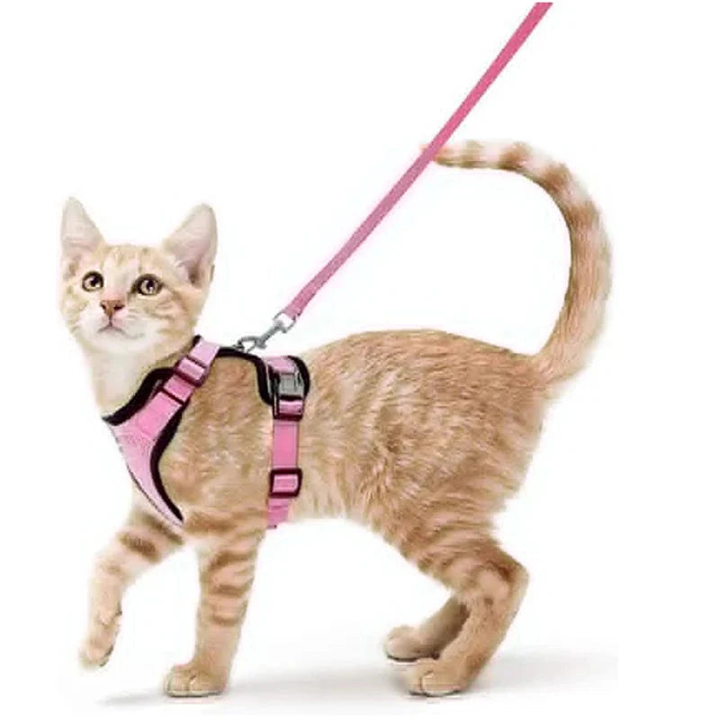 Cat Harness and Leash – Soft Adjustable Escape-Proof Vest for Walking Cats
