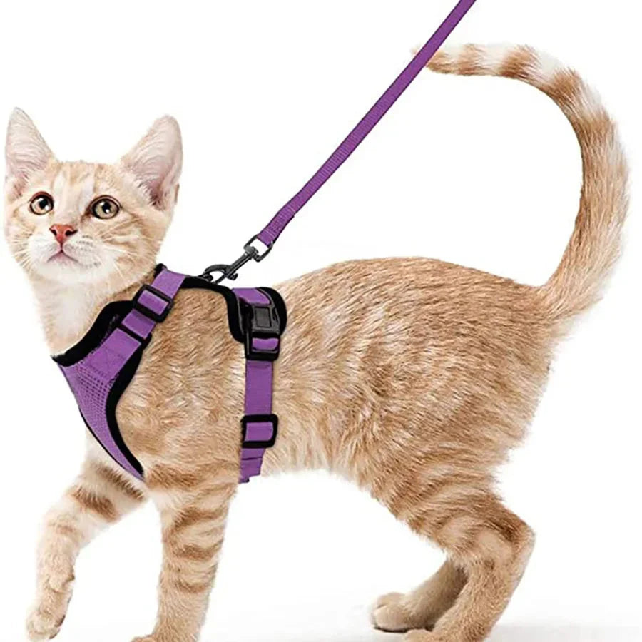 Cat Harness and Leash – Soft Adjustable Escape-Proof Vest for Walking Cats
