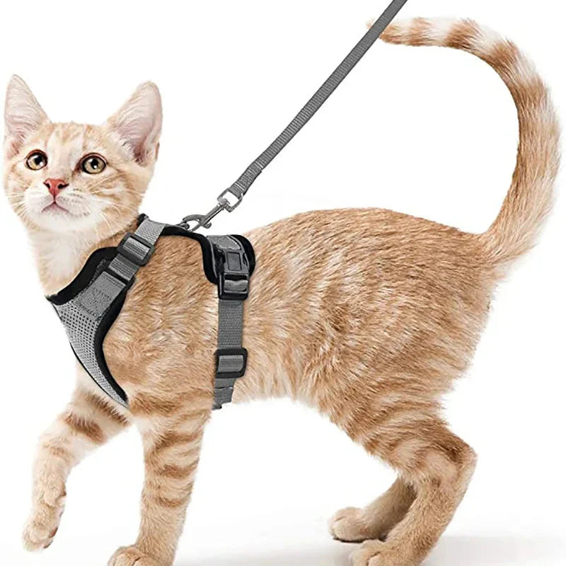 Cat Harness and Leash – Soft Adjustable Escape-Proof Vest for Walking Cats