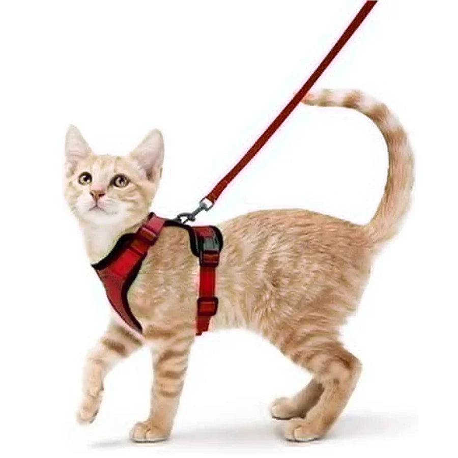 Cat Harness and Leash – Soft Adjustable Escape-Proof Vest for Walking Cats