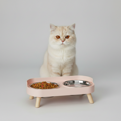 Elevated Dual-Bowl Feeding Station