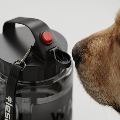 Travel Water Bottle for Pets